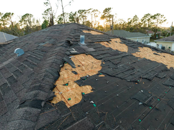 Best Roof Moss and Algae Removal  in Pomona, CA